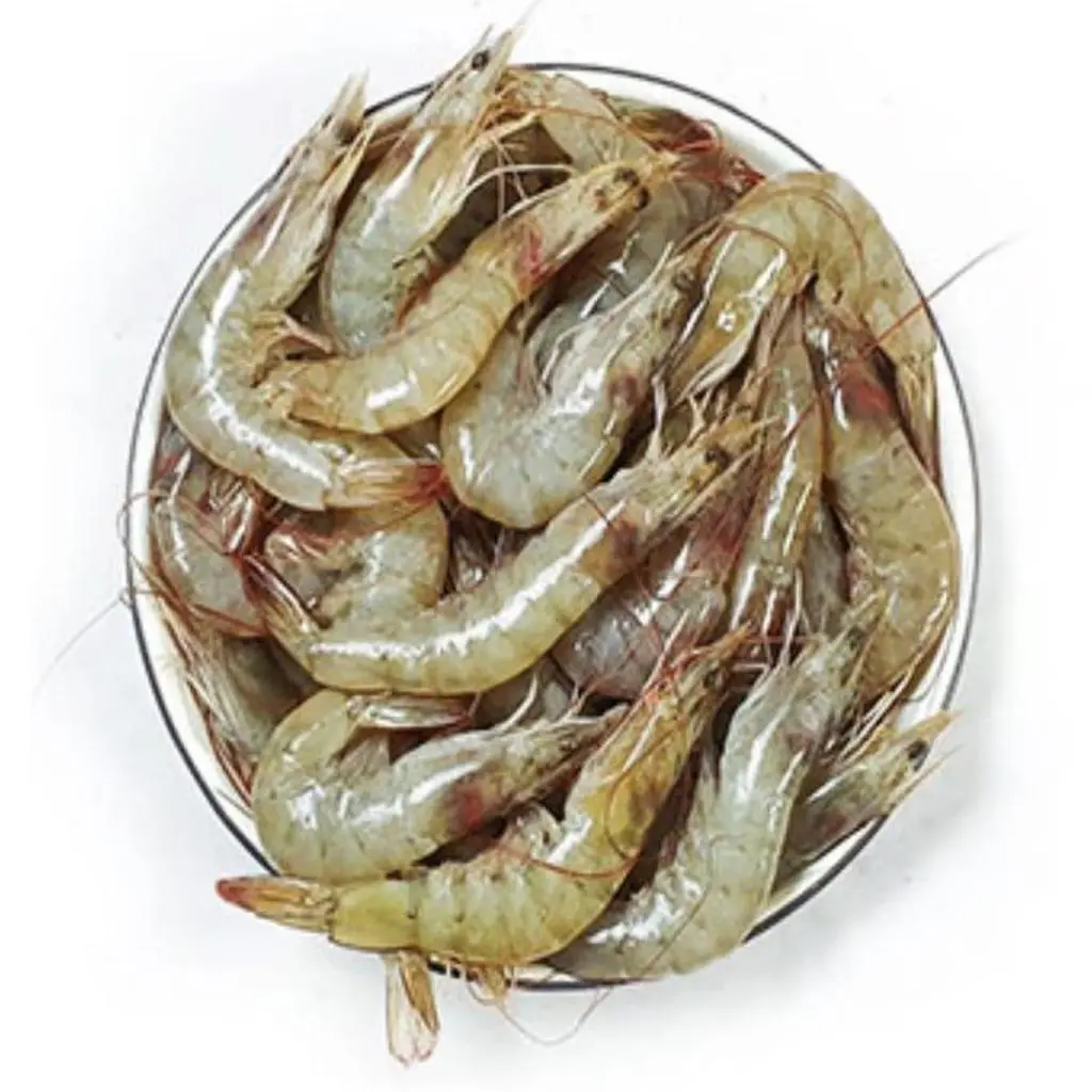 Small Shrimp